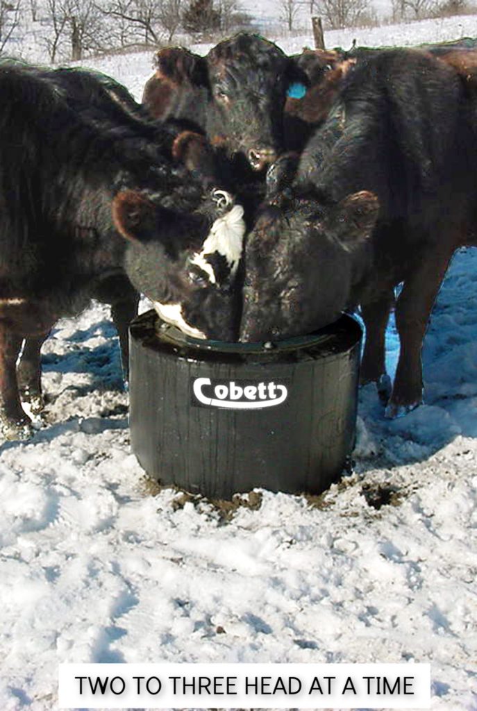 Cobett Model LB Large Cattle Waterer
