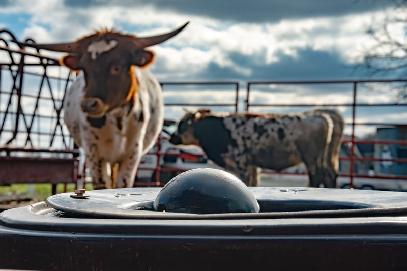 Cobett Model SB Small Cattle Waterer