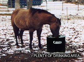 Small Cattle Waterer